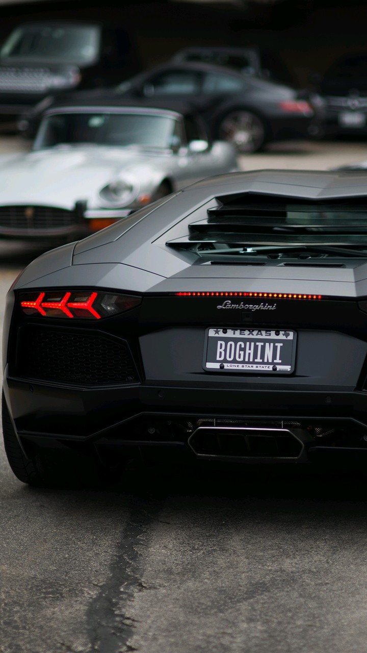 Boghini
