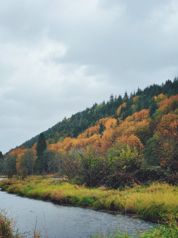 #Fall