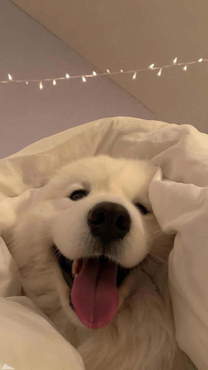 my boy cuteee