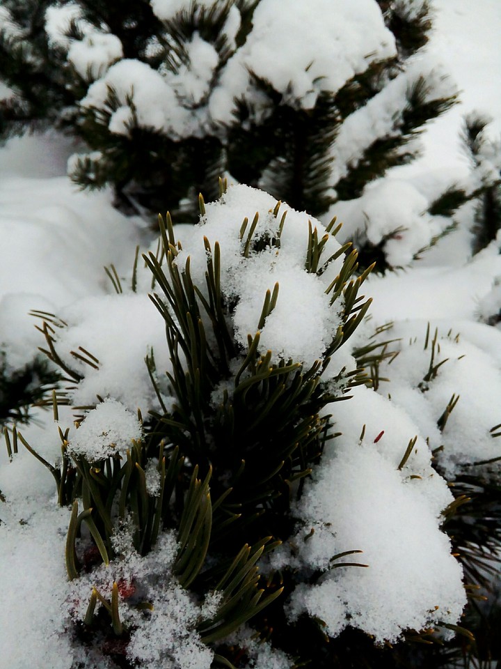 Winter