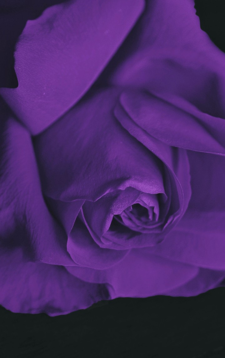 Flor