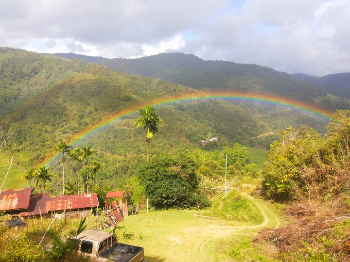lovely  rainbow