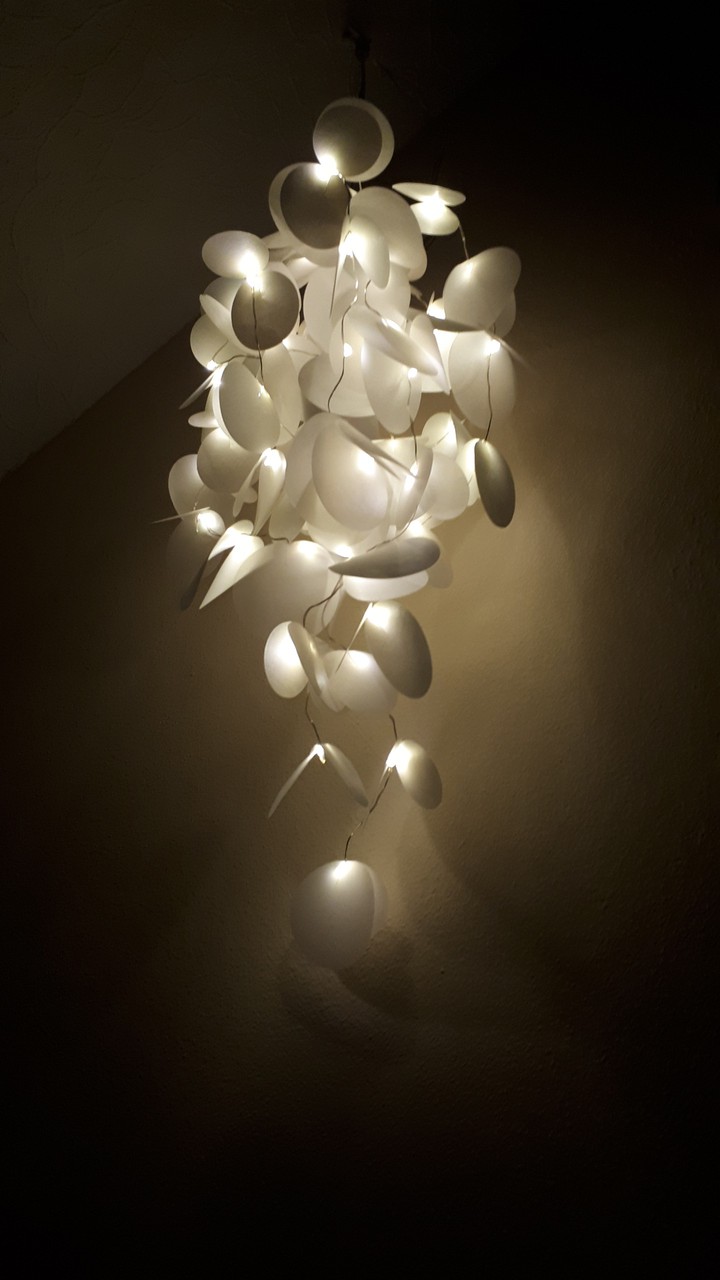 lights