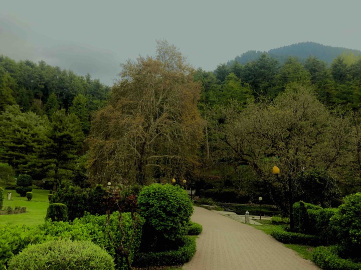 Kashmir