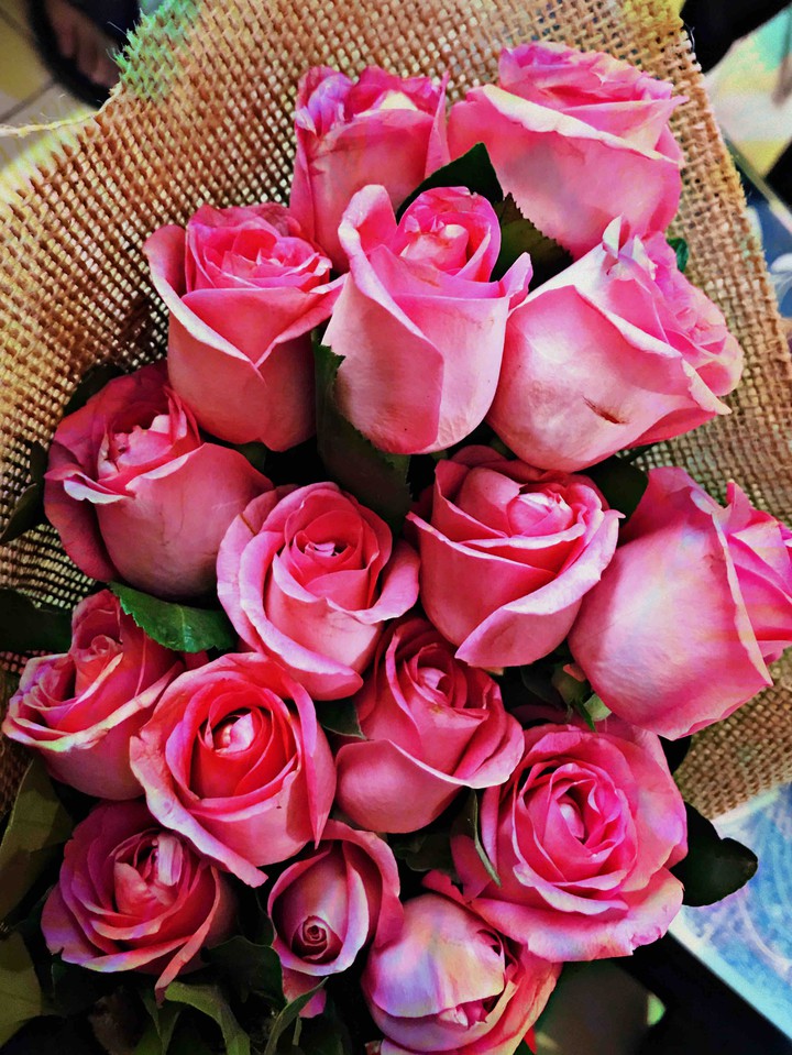pink roses