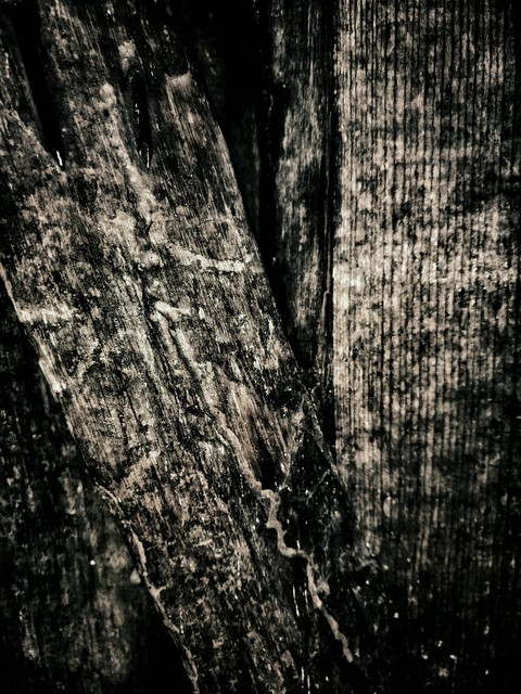 wood