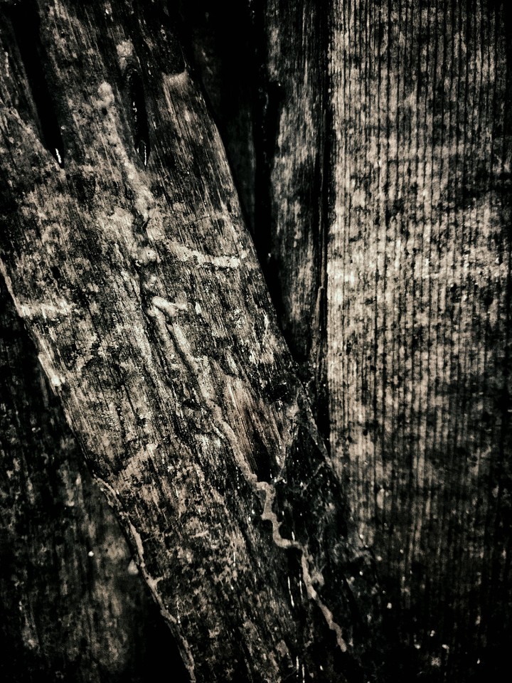 wood