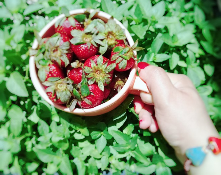 strawberry
