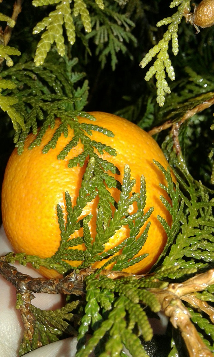 orange