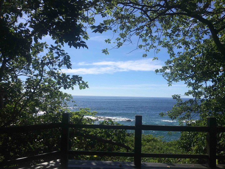 view
