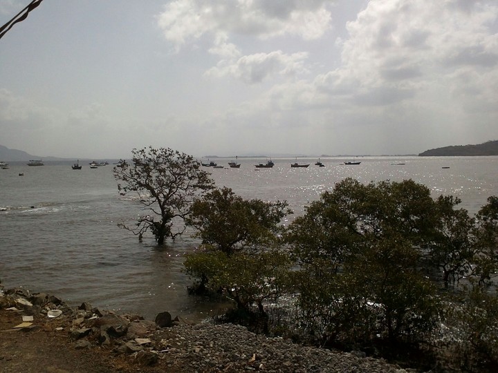 Mandwa