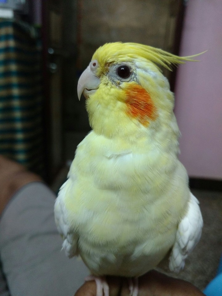 Ms. Cute