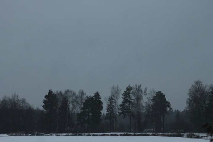 Лес
