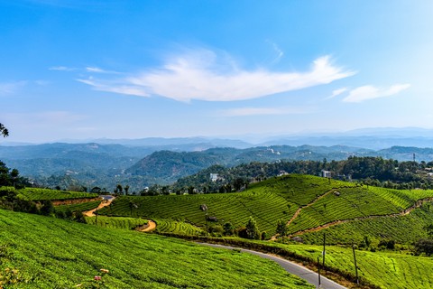 Munnar, Kerala