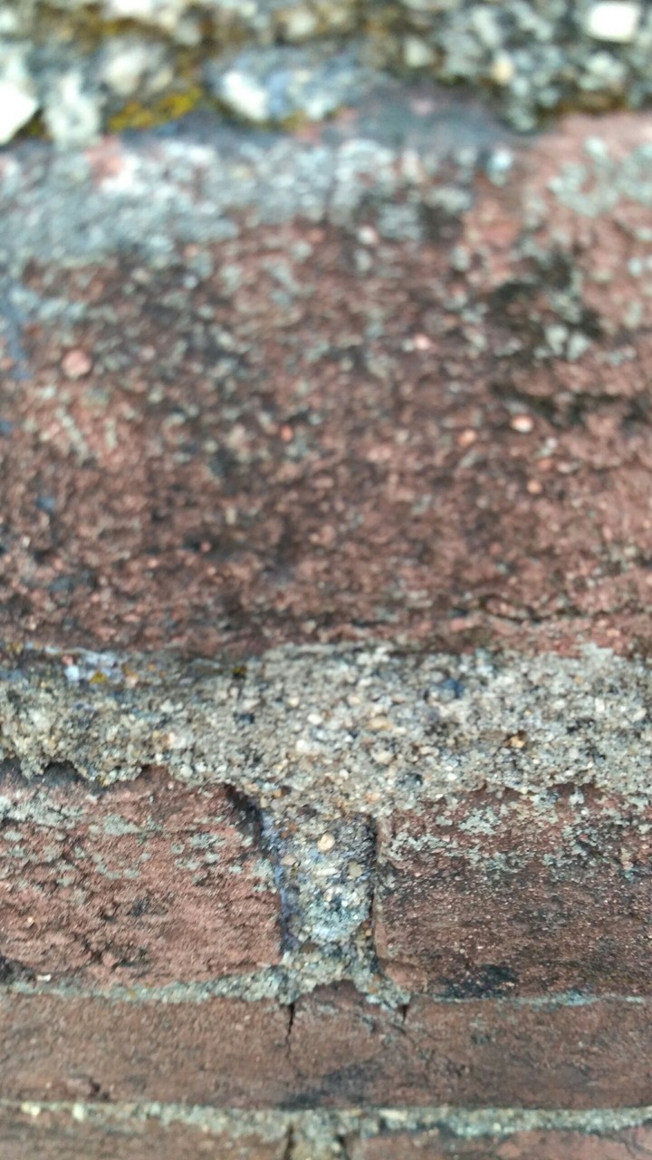wall