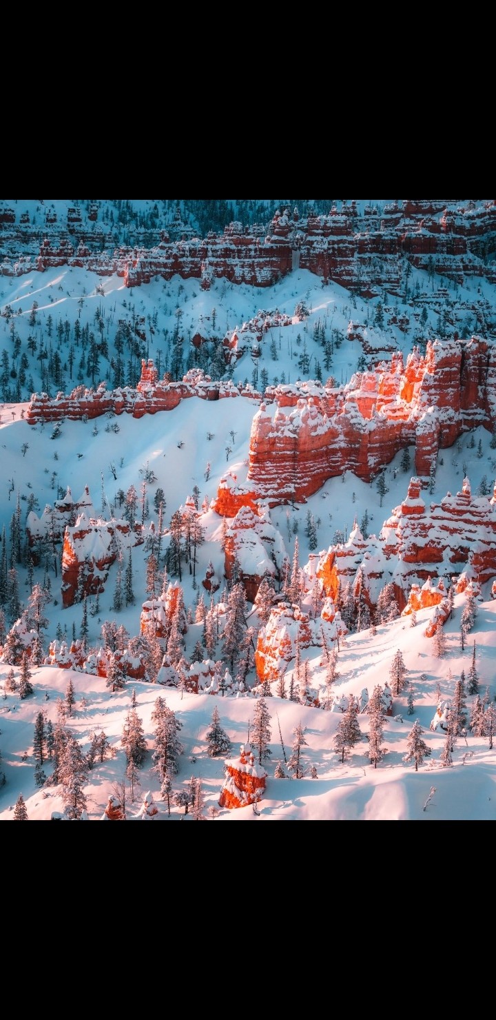 sun and snow