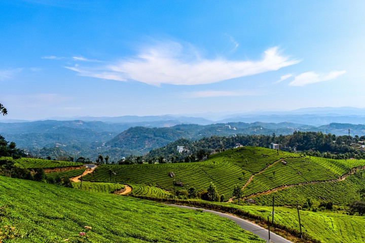 Munnar, Kerala