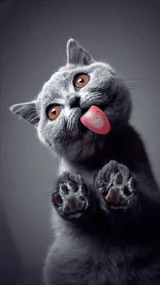 .