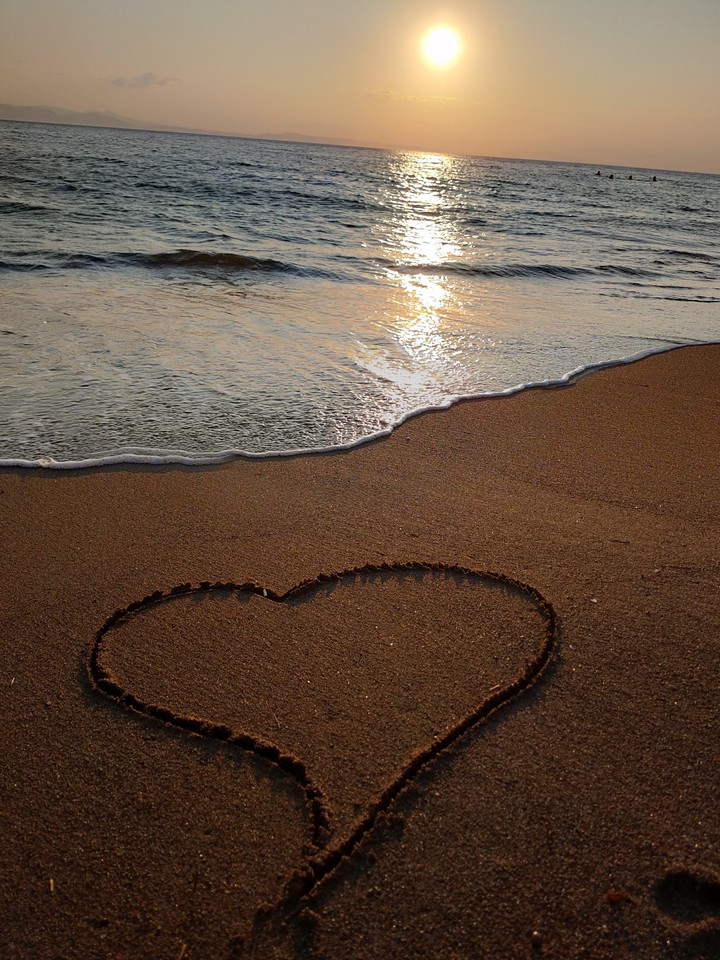 sea heart