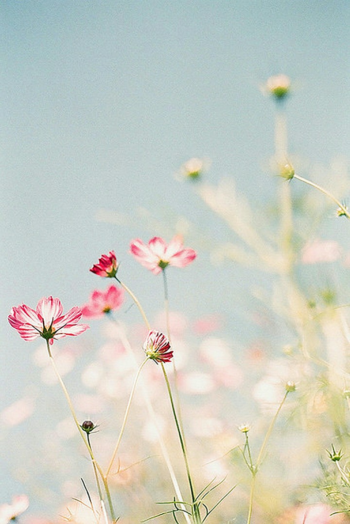 花漾