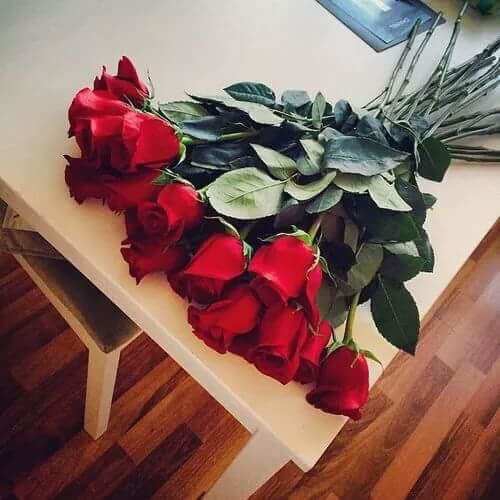 Flowers❤