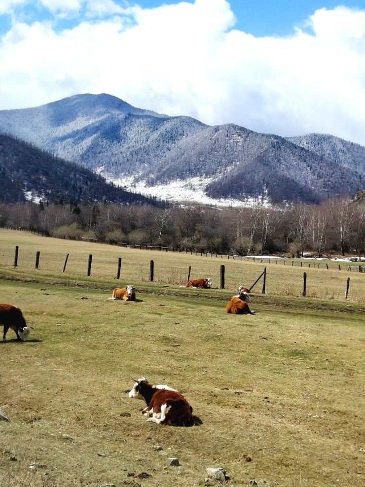 In the mountains.