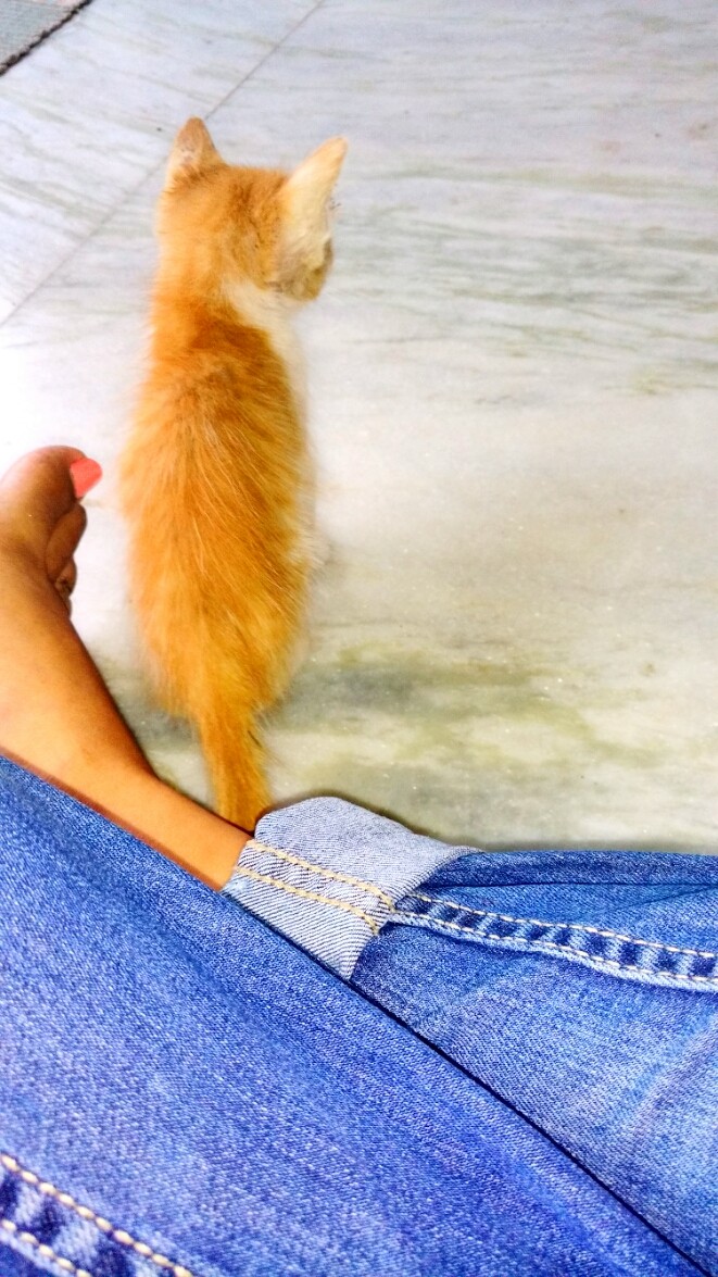 never leave my side 