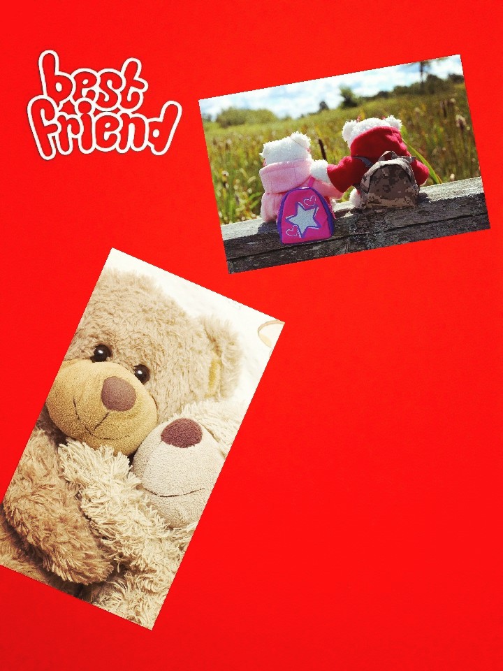 The bears friendship