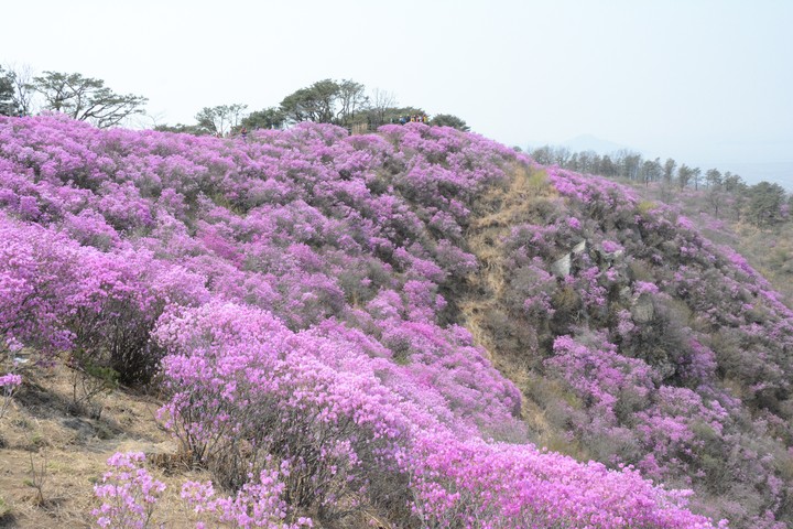 풍경이미지
