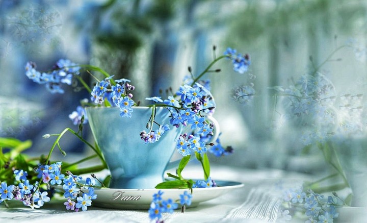 blue