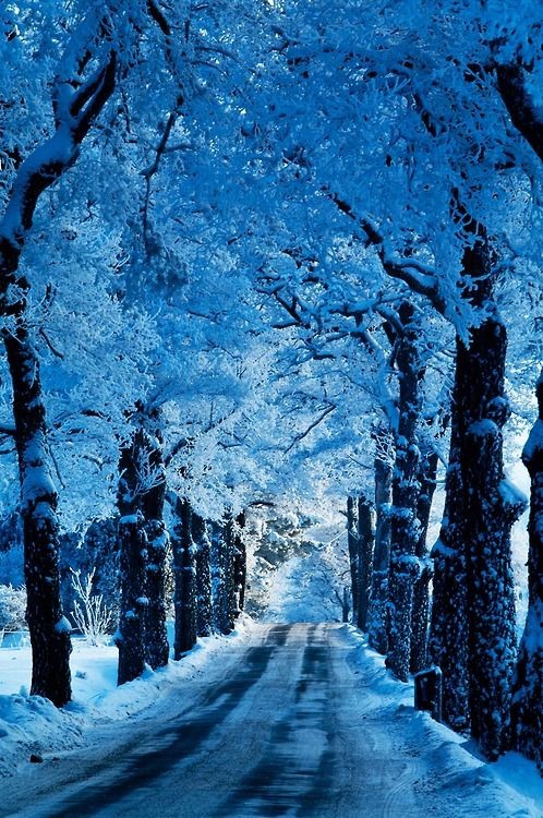 Paysage De Glace
