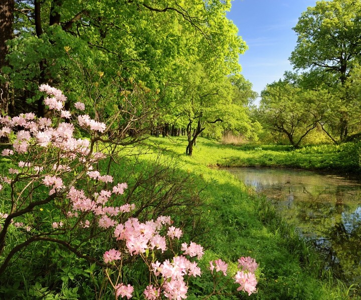 Spring