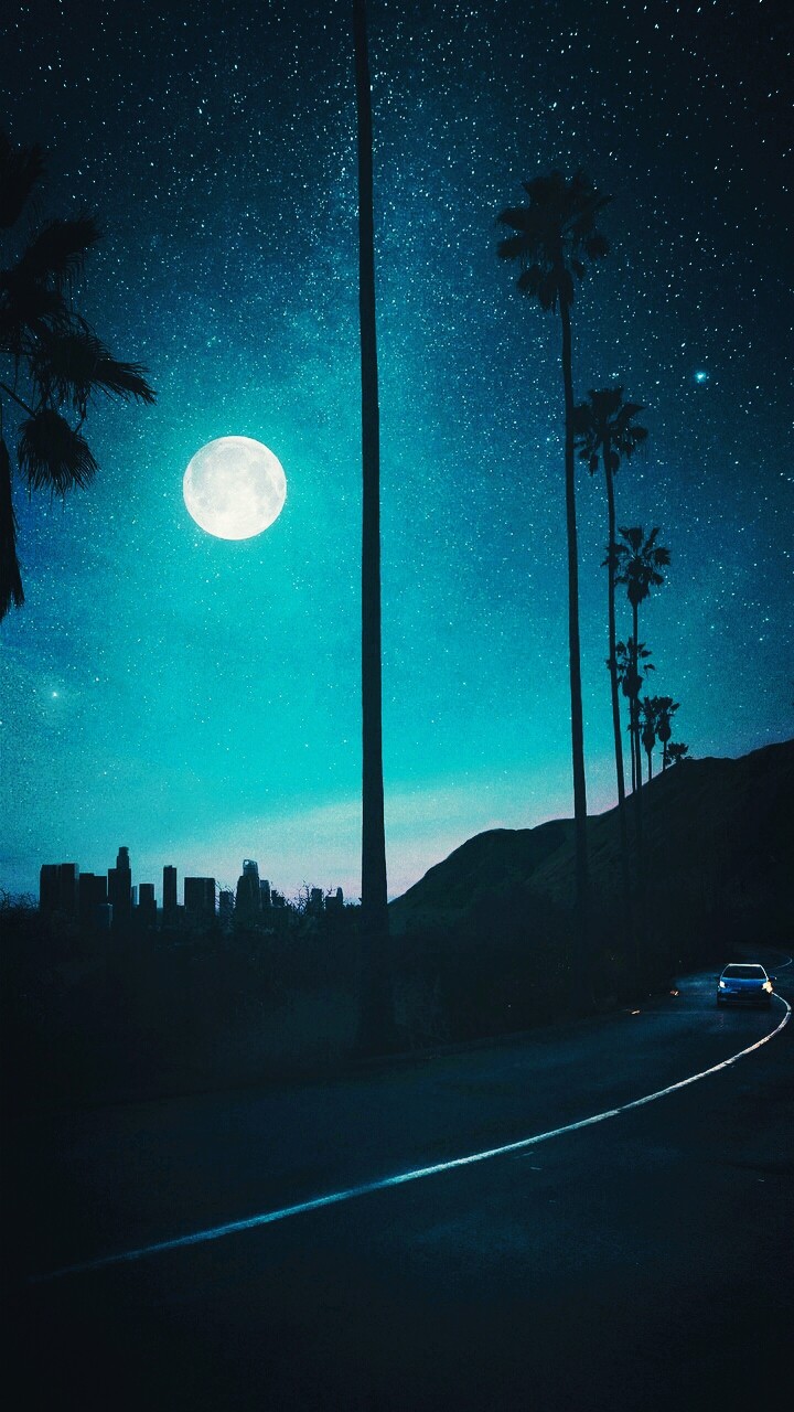 Night