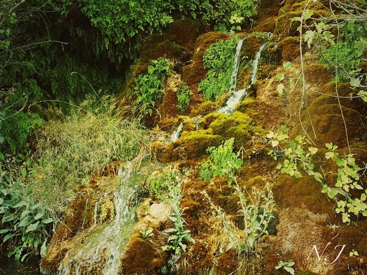DEGOTEBI