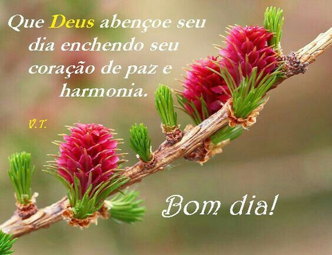 Aos amigos do coração bjs.