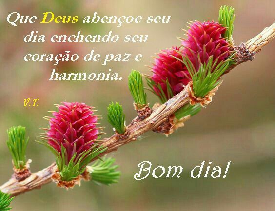 Aos amigos do coração bjs.