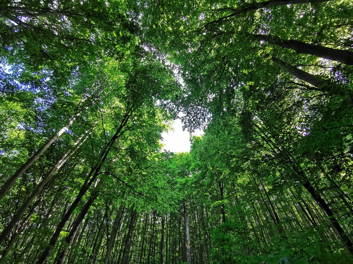Love in with nature.