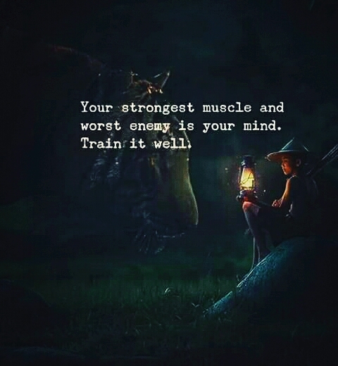 Lessons of life