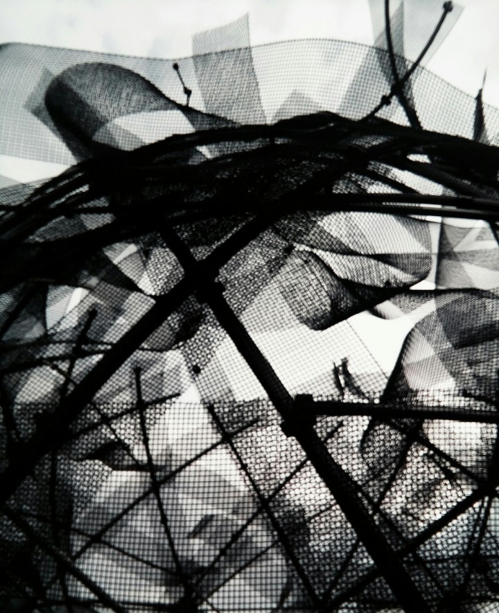 Wires