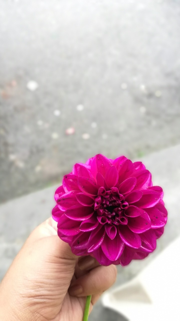 beautiful