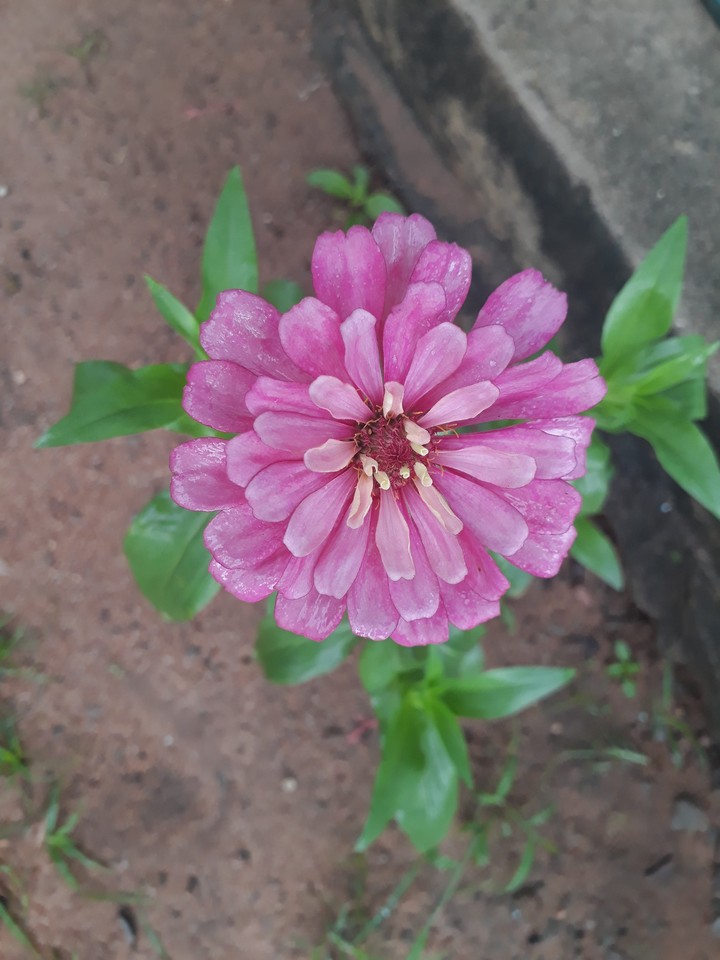 ?