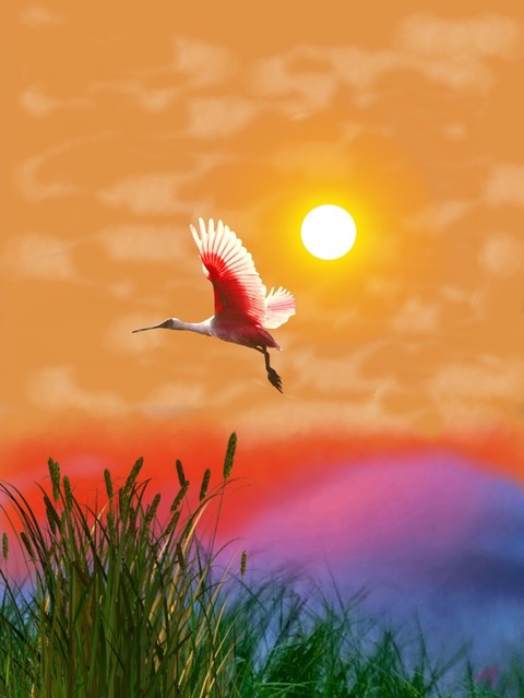 nice_art