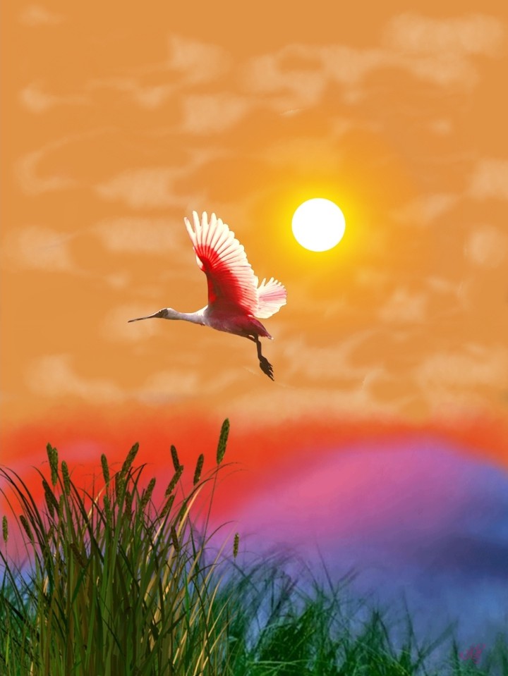 nice_art