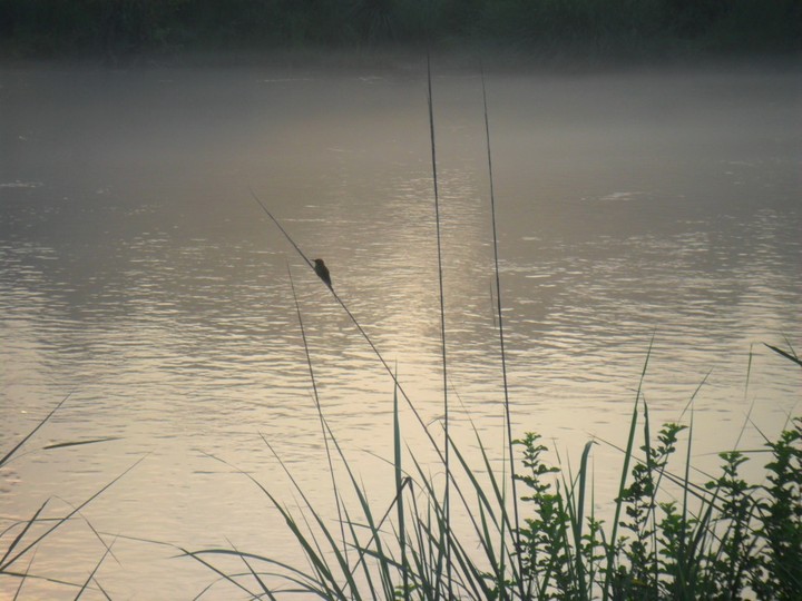 calm & peace