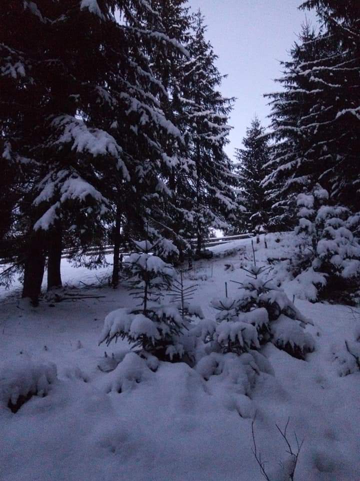 winter evening