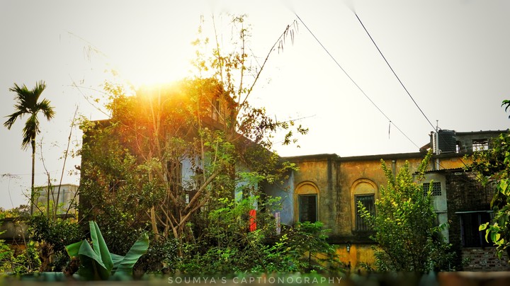 sun-kissed structure