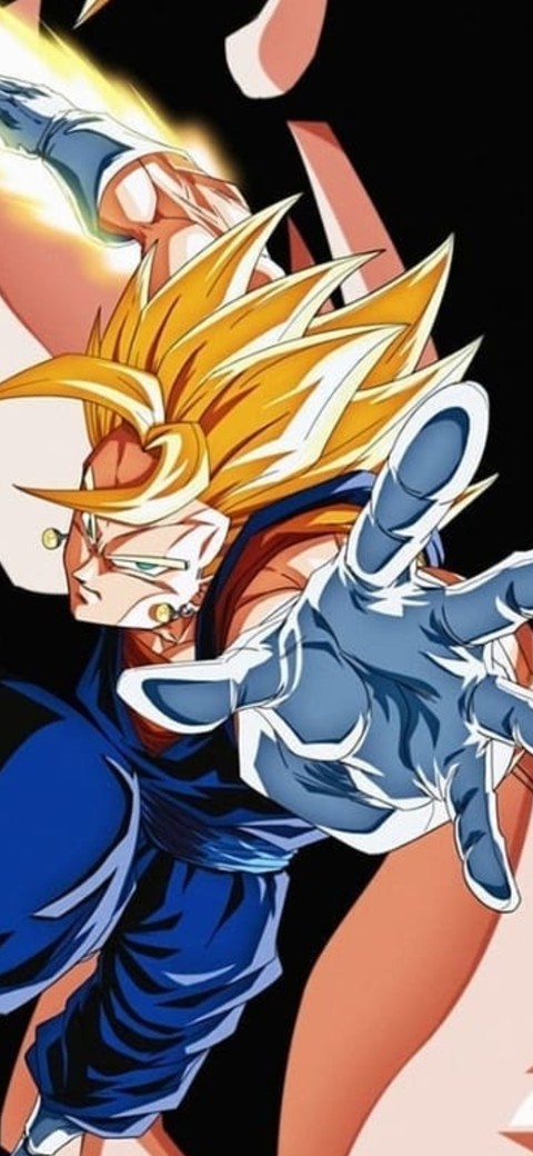 Potara Fusion Vegeto