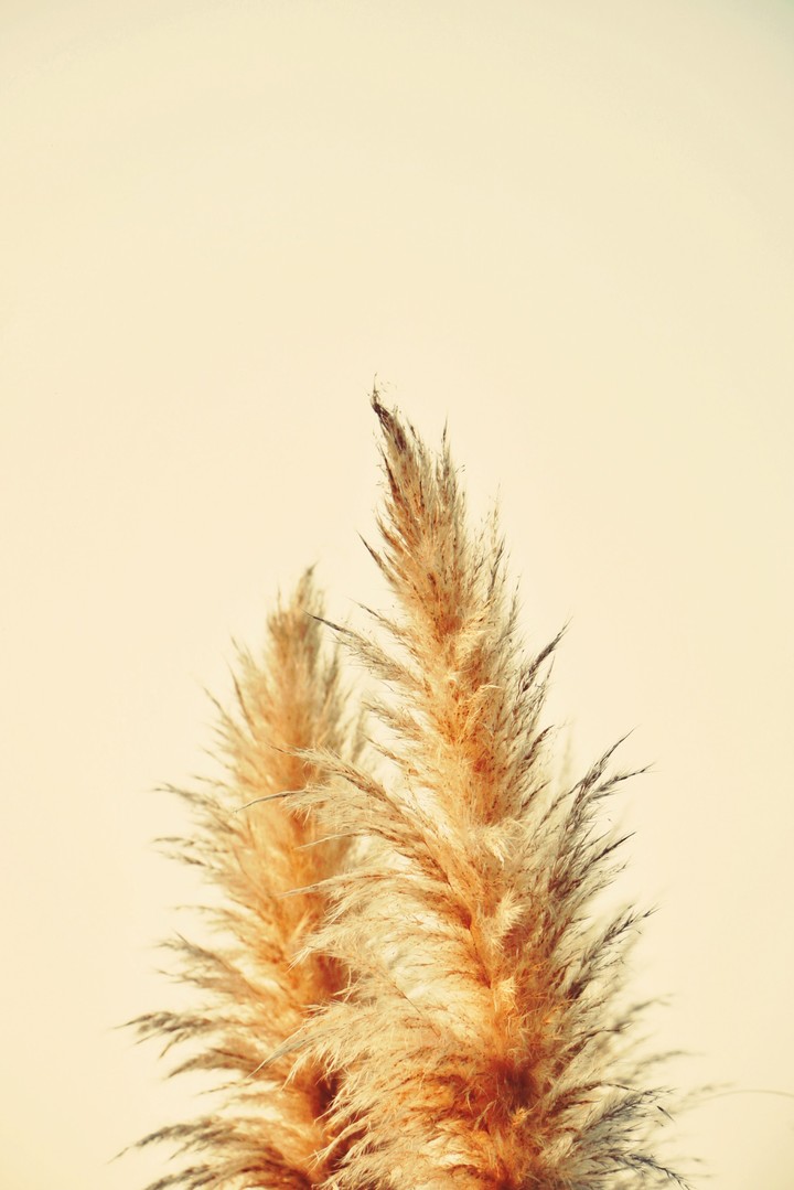 light