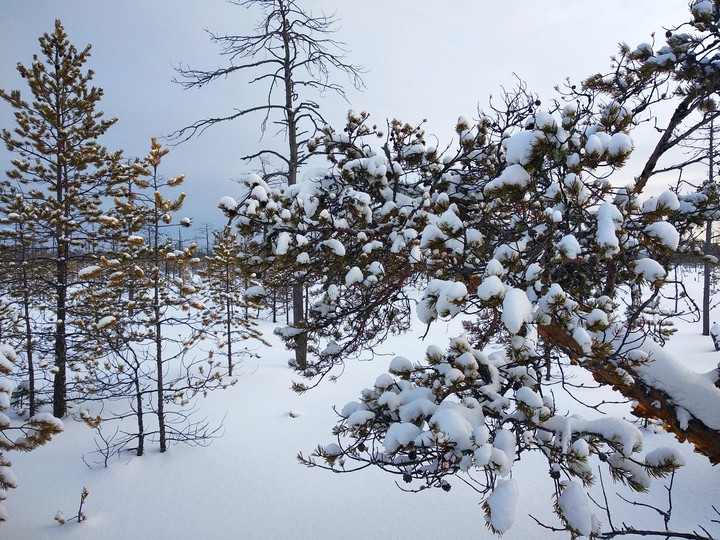winter