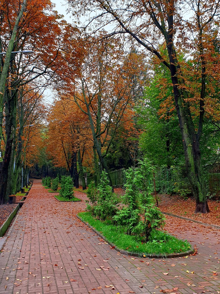 Autumn